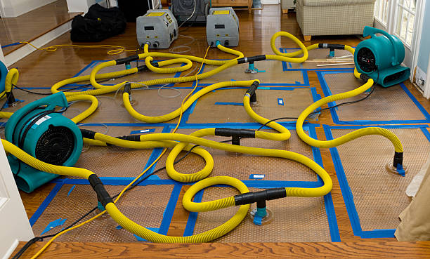 Professional Structural Drying And Dehumidification technician working in Pattison, TX